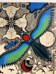Racing Magpie