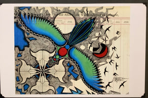 Racing Magpie