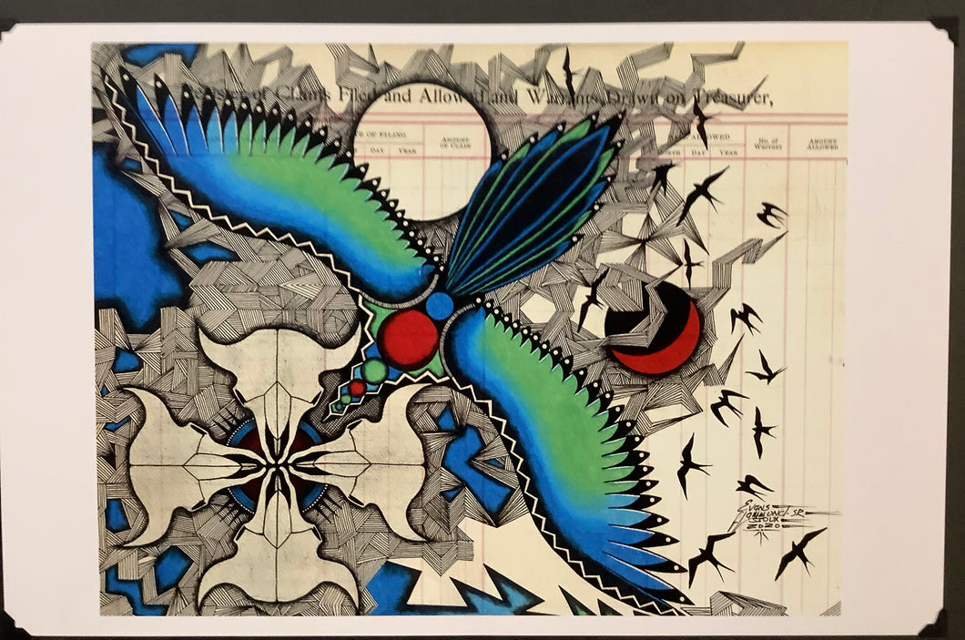 Racing Magpie